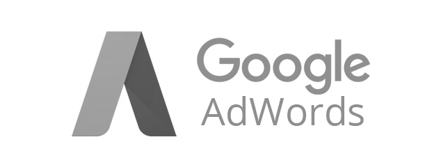 Google AdWords Partner